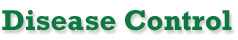 Randys Lawn Service,power seeding,aeration,lawn care, lawns, grass care,fertilizer,fertilizing,New Egypt,East Windsor,West Windsor, Chesterfield, Plumsted,Cream Ridge, Columbus, Hamilton, Upper Freehold,Jobstown, Millstone, Robbinsville,Allentown,Bordentown,North Hanover,Mercer County,Ocean County,