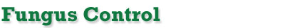 Randys Lawn Service,power seeding,aeration,lawn care, lawns, grass care,fertilizer,fertilizing,New Egypt,East Windsor,West Windsor, Chesterfield, Plumsted,Cream Ridge, Columbus, Hamilton, Upper Freehold,Jobstown, Millstone, Robbinsville,Allentown,Bordentown,North Hanover,Mercer County,Ocean County,