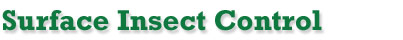 Randys Lawn Service,power seeding,aeration,lawn care, lawns, grass care,fertilizer,fertilizing,New Egypt,East Windsor,West Windsor, Chesterfield, Plumsted,Cream Ridge, Columbus, Hamilton, Upper Freehold,Jobstown, Millstone, Robbinsville,Allentown,Bordentown,North Hanover,Mercer County,Ocean County,