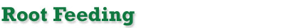Randys Lawn Service,power seeding,aeration,lawn care, lawns, grass care,fertilizer,fertilizing,New Egypt,East Windsor,West Windsor, Chesterfield, Plumsted,Cream Ridge, Columbus, Hamilton, Upper Freehold,Jobstown, Millstone, Robbinsville,Allentown,Bordentown,North Hanover,Mercer County,Ocean County,