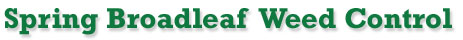 Randys Lawn Service,power seeding,aeration,lawn care, lawns, grass care,fertilizer,fertilizing,New Egypt,East Windsor,West Windsor, Chesterfield, Plumsted,Cream Ridge, Columbus, Hamilton, Upper Freehold,Jobstown, Millstone, Robbinsville,Allentown,Bordentown,North Hanover,Mercer County,Ocean County