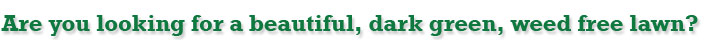 Randys Lawn Service,power seeding,aeration,lawn care, lawns, grass care,fertilizer,fertilizing,New Egypt,East Windsor,West Windsor, Chesterfield, Plumsted,Cream Ridge, Columbus, Hamilton, Upper Freehold,Jobstown, Millstone, Robbinsville,Allentown,Bordentown,North Hanover,Mercer County,Ocean County,